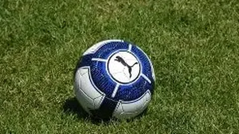 体育界多组织呼吁延后东京奥运